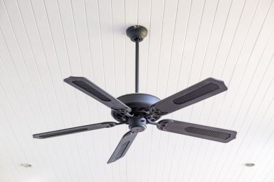 Ceiling Fan Replacement